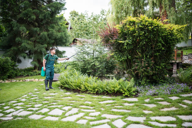 Best Local Pest Control Services  in Sea Bright, NJ
