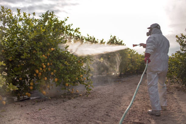Professional Pest Control in Sea Bright, NJ