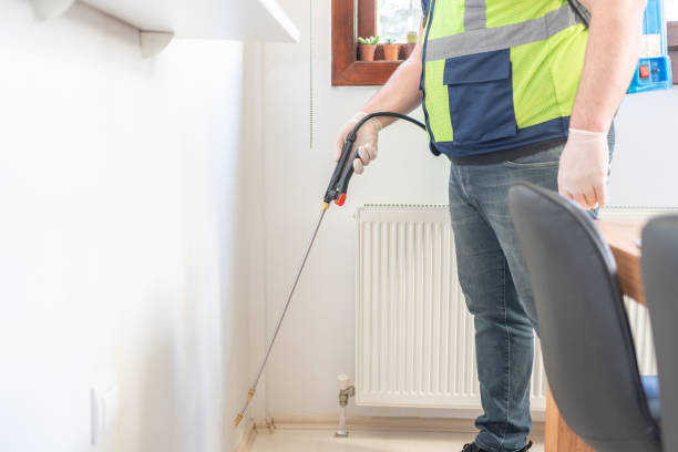 Best Wasp Removal Services  in Sea Bright, NJ