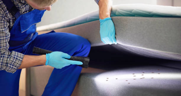 Best Pest Prevention Services  in Sea Bright, NJ