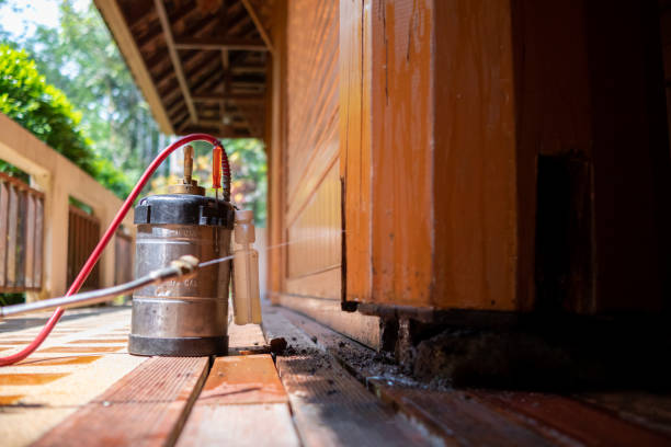 Best Ant Control Services  in Sea Bright, NJ