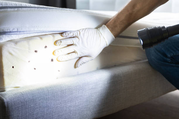 Best Pest Inspection Near Me  in Sea Bright, NJ