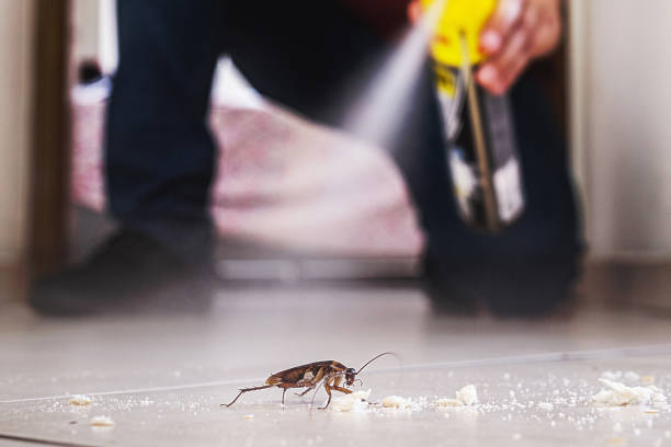 Best Pest Control for Businesses  in Sea Bright, NJ