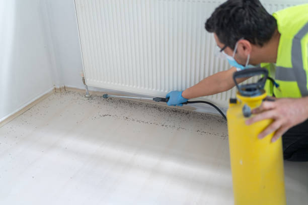 Best Mosquito Control Services  in Sea Bright, NJ